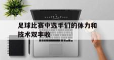 haha体育网页版-足球比赛中选手们的体力和技术双丰收